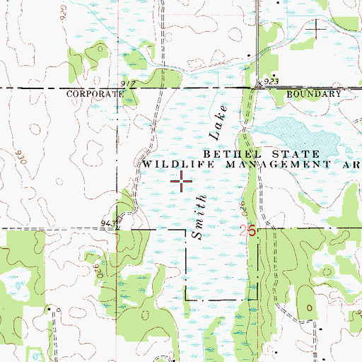 Topographic Map of Smith Lake, MN