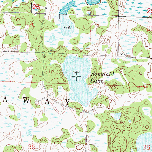 Topographic Map of Somdahl Lake, MN