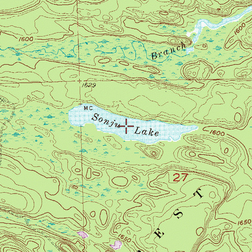 Topographic Map of Sonju Lake, MN