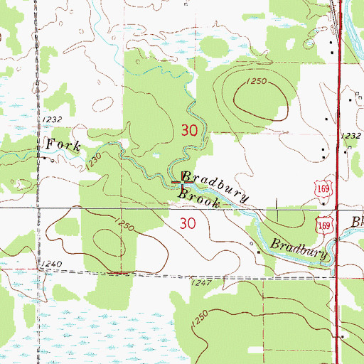 Topographic Map of South Fork Bradbury Brook, MN