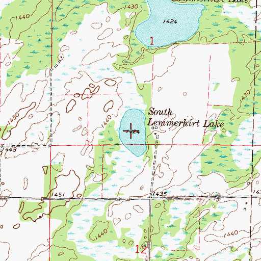 Topographic Map of South Lemmerhirt Lake, MN