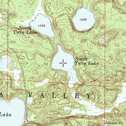 Topographic Map of South Twin Lake, MN