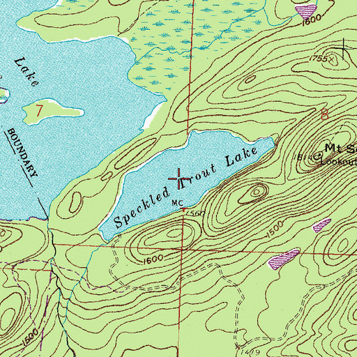Topographic Map of Speckled Trout Lake, MN
