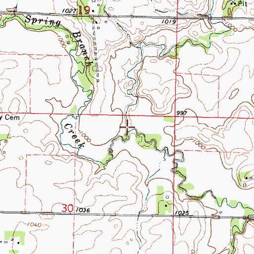 Topographic Map of Spring Branch Creek, MN