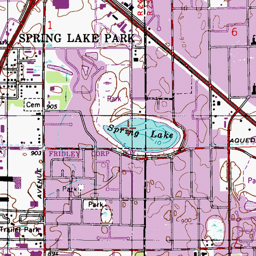 Topographic Map of Spring Lake, MN