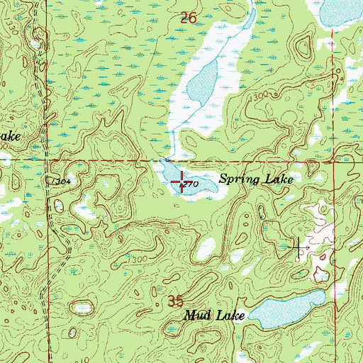 Topographic Map of Spring Lake, MN