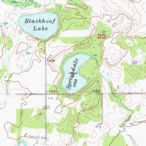 Topographic Map of Spring Lake, MN