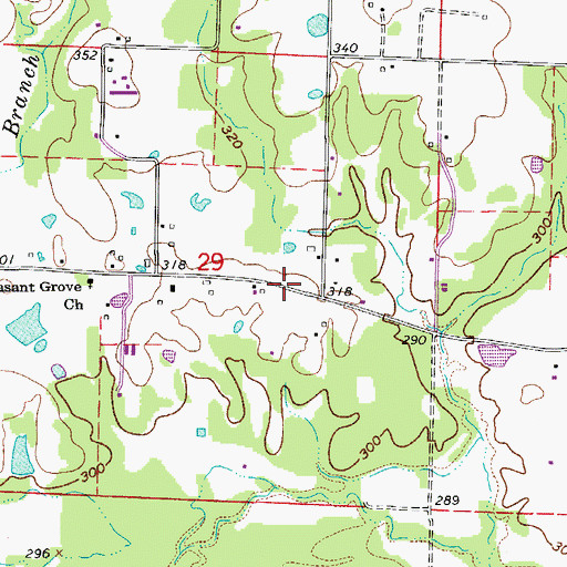 Topographic Map of Township of Pleasant Grove (historical), AR