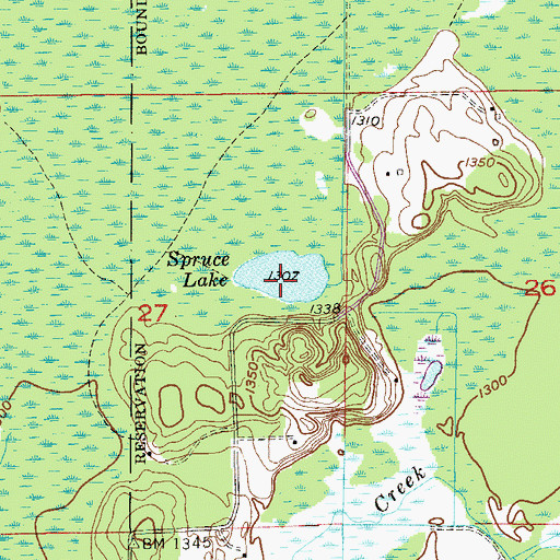 Topographic Map of Spruce Lake, MN
