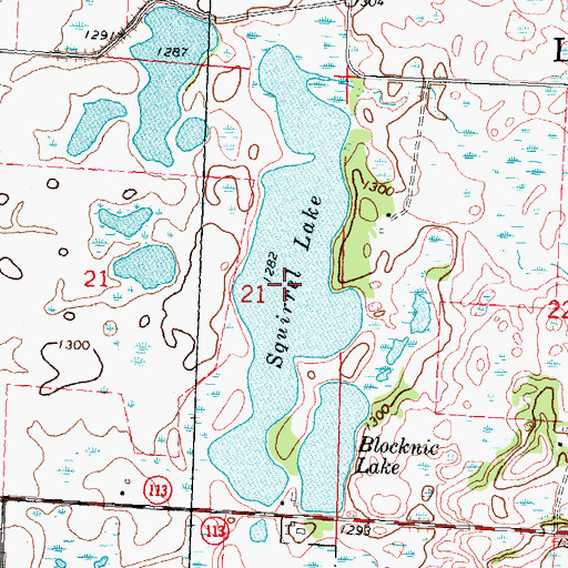 Topographic Map of Squirrel Lake, MN