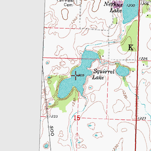 Topographic Map of Squirrel Lake, MN