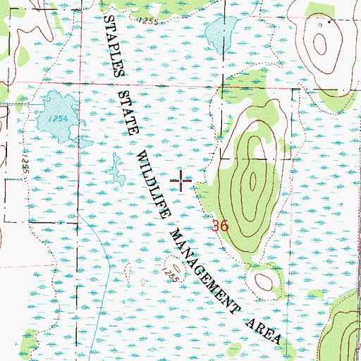 Topographic Map of Staples State Wildlife Management Area, MN