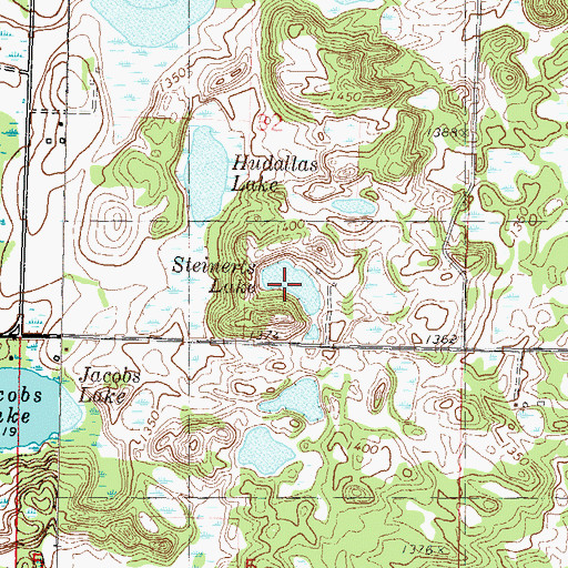 Topographic Map of Steinerts Lake, MN