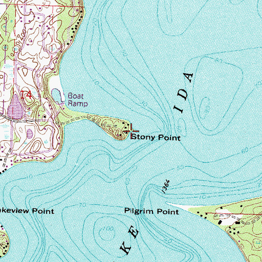 Topographic Map of Stony Point, MN