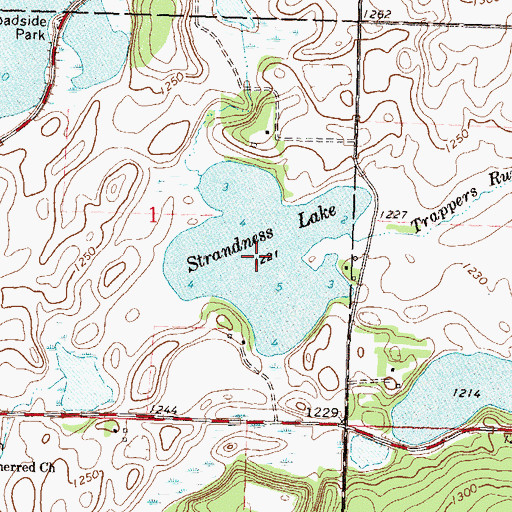 Topographic Map of Strandness Lake, MN
