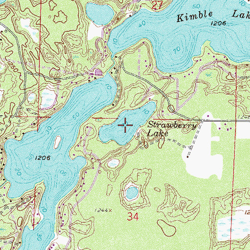 Topographic Map of Strawberry Lake, MN