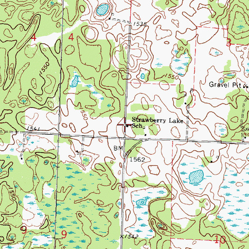 Topographic Map of Strawberry Lake School, MN