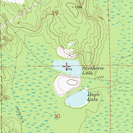 Topographic Map of Studhorse Lake, MN