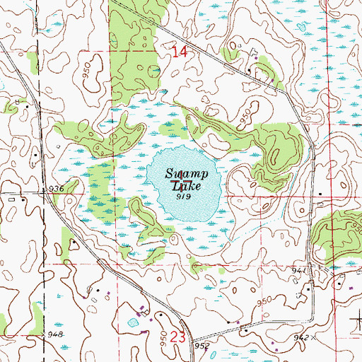 Topographic Map of Swamp Lake, MN