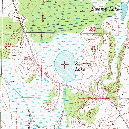 Topographic Map of Swamp Lake, MN
