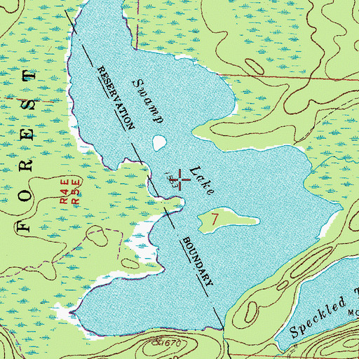 Topographic Map of Swamp Lake, MN