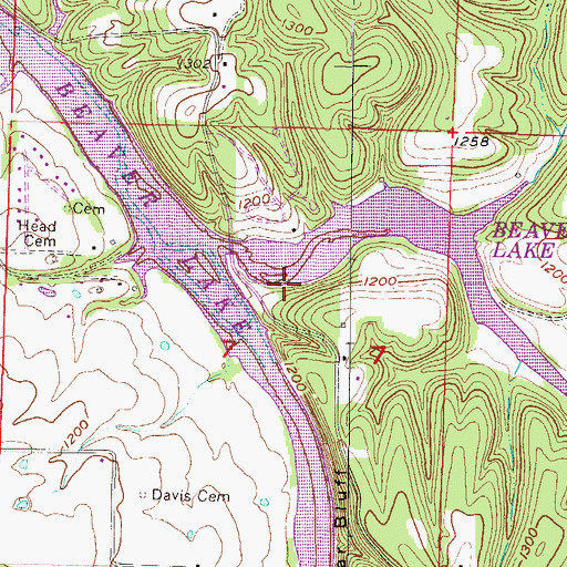Topographic Map of Blue Springs, AR