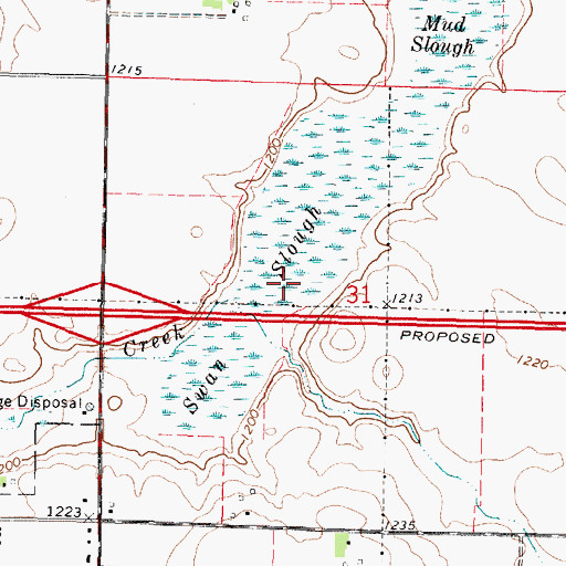 Topographic Map of Swan Slough, MN
