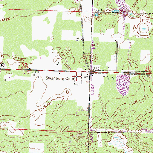 Topographic Map of Swanburg Cemetery, MN