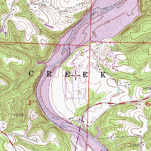 Topographic Map of Blue Springs Village, AR