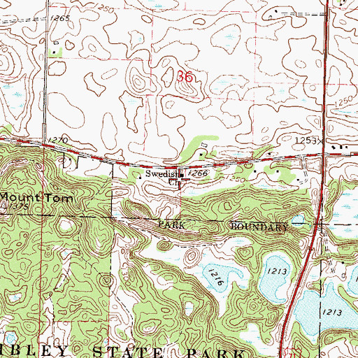 Topographic Map of Swedish Church, MN