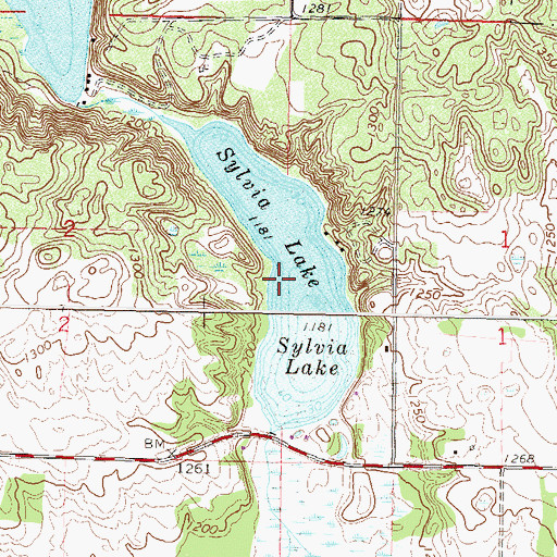 Topographic Map of Sylvia Lake, MN