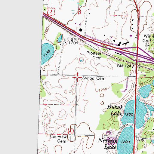 Topographic Map of Synod Cemetery, MN