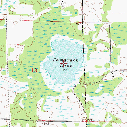 Topographic Map of Tamarack Lake, MN