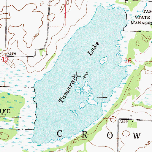 Topographic Map of Tamarack Lake, MN