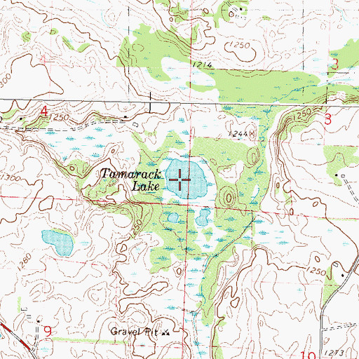 Topographic Map of Tamarack Lake, MN