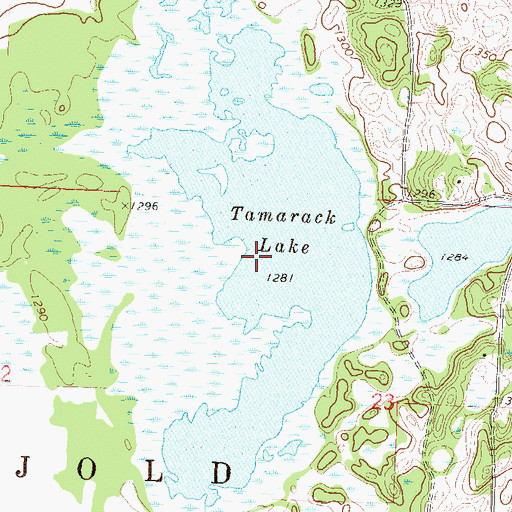 Topographic Map of Tamarack Lake, MN