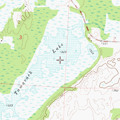 Topographic Map of Tamarack Lake, MN
