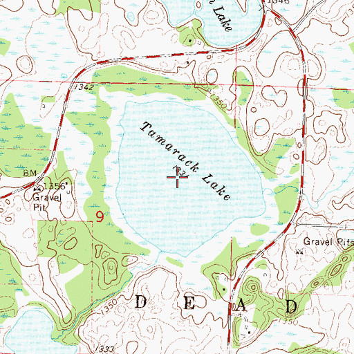 Topographic Map of Tamarack Lake, MN