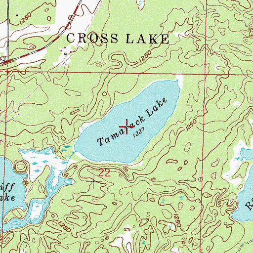 Topographic Map of Tamarack Lake, MN