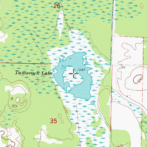 Topographic Map of Tamarack Lake, MN