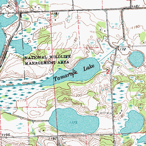 Topographic Map of Tamarack Lake, MN