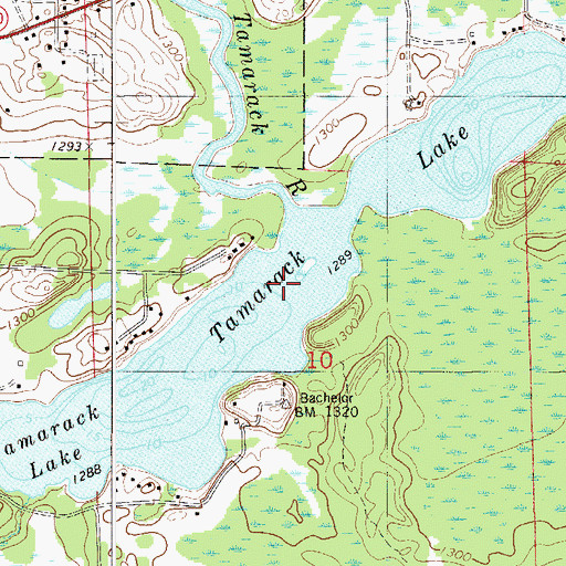 Topographic Map of Tamarack Lake, MN