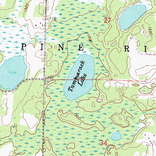 Topographic Map of Tamarack Lake, MN