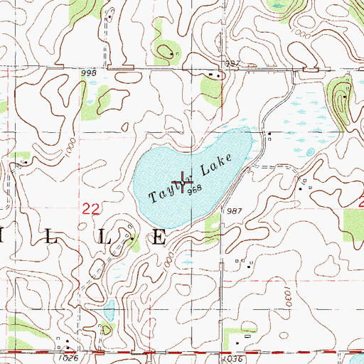 Topographic Map of Taylor Lake, MN