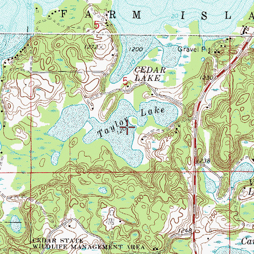 Topographic Map of Taylor Lake, MN