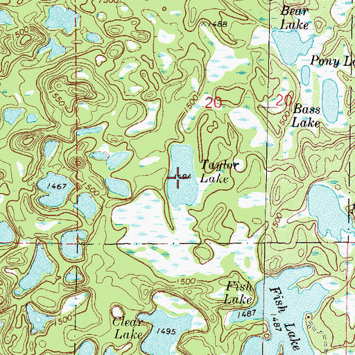 Topographic Map of Taylor Lake, MN