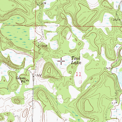 Topographic Map of Teal Lake, MN