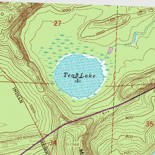 Topographic Map of Teal Lake, MN