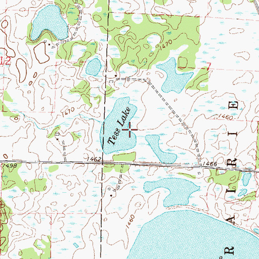 Topographic Map of Tess Lake, MN
