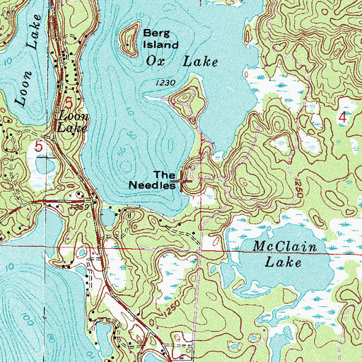 Topographic Map of The Needles, MN